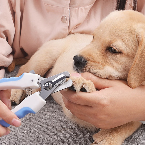 Nail Clipper Scissors Pet Dog and Cat