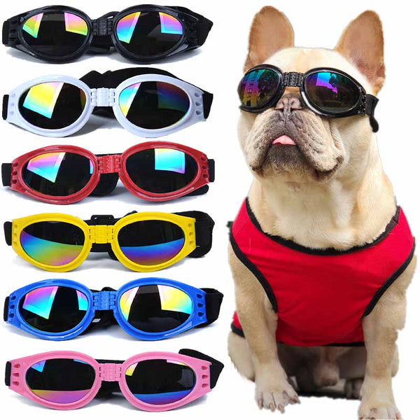 Pet Dog Glasses Prevent UV